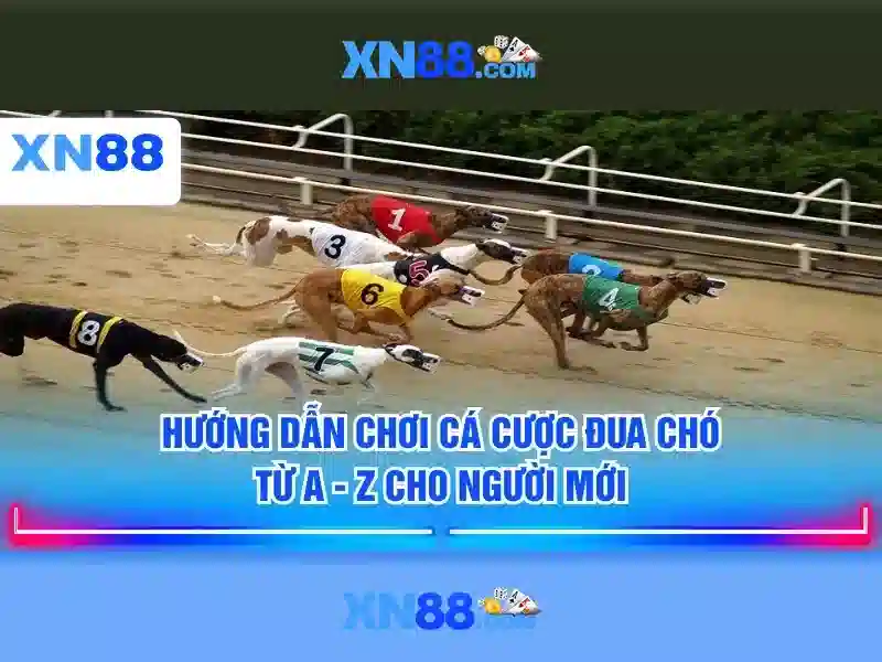 trang xn88 – tổng quan, trải nghiệm và đăng ký