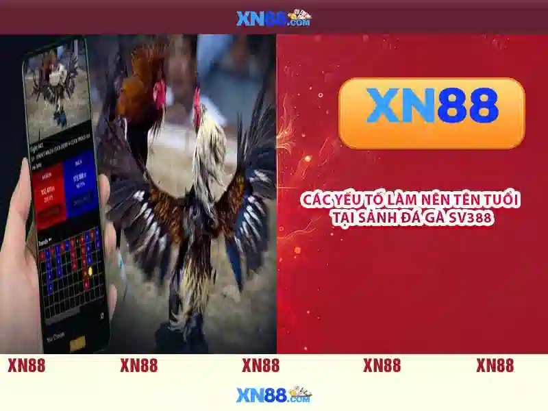 The thao va Casino xn88