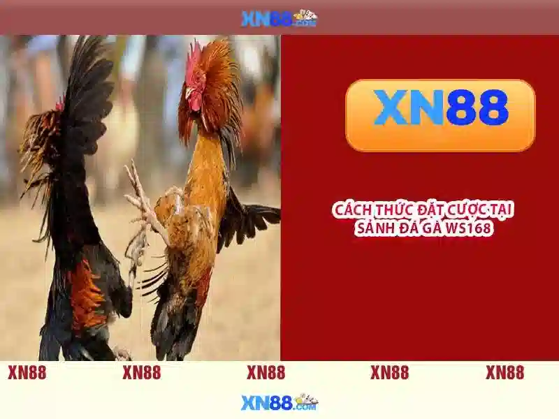 Cac phuong thuc thanh toan da dang tai xn88