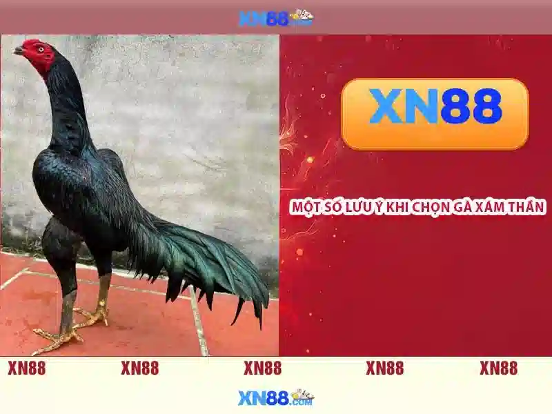 nhập code xn88 - Trải nghiệm, đánh giá và định vị thương hiệu