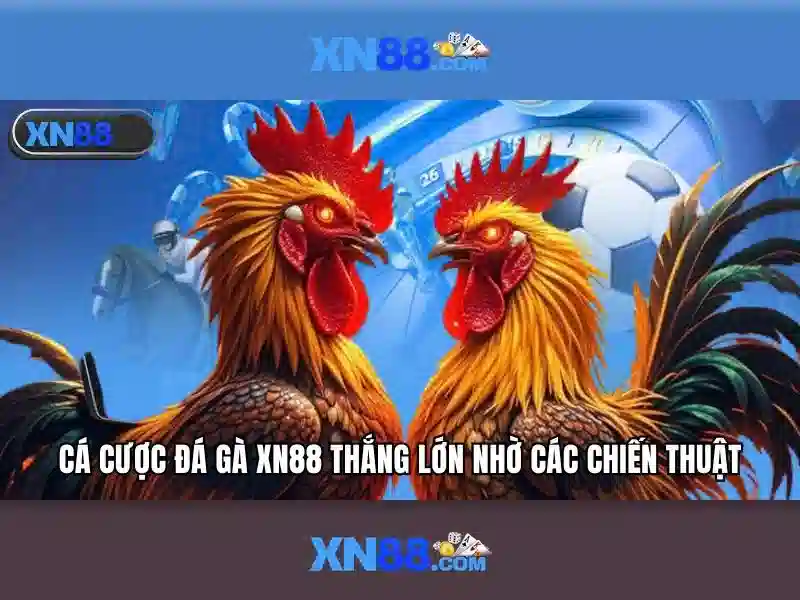 Luu y quan trong khi giao dich tai nha cai xn88