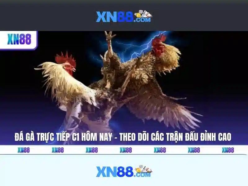xn88 – Nền tảng cược toàn diện với xn88 official và xn88 bet
