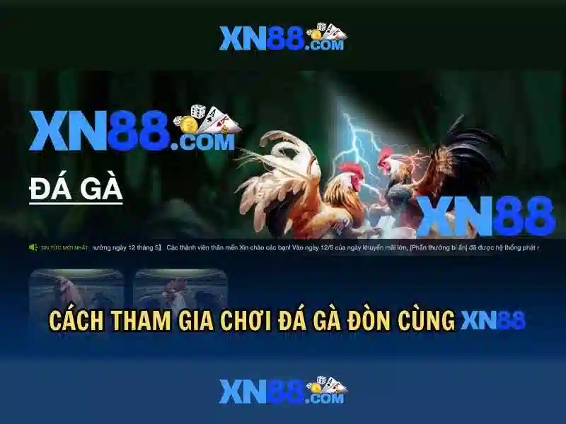 Xn88 là gì và nguồn gốc của nền tảng trò chơi trực tuyến