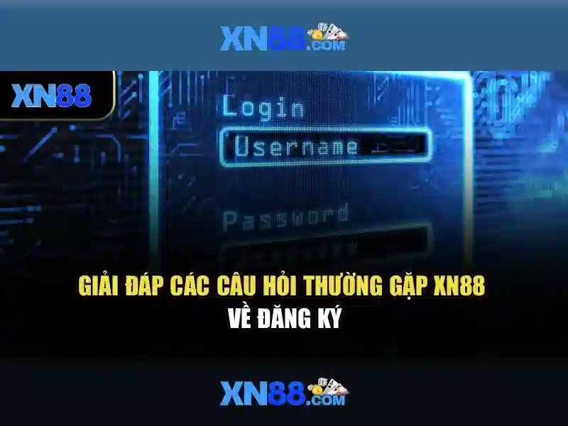 Một cái nhìn tổng quan về xn88