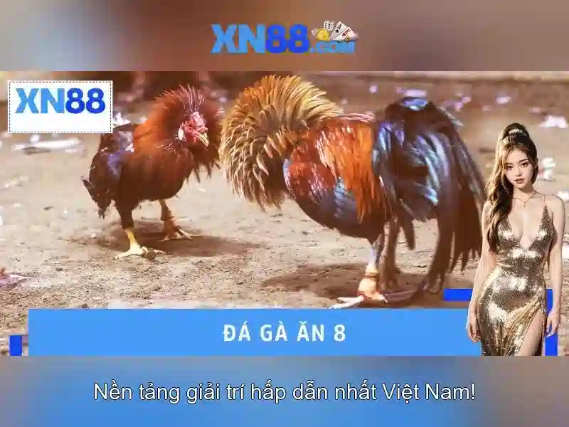 XN88 là gì? Tổng quan về nền tảng giải trí trực tuyến