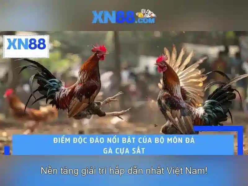 Giới thiệu về xn88 - Nền tảng giải trí và cá cược trực tuyến