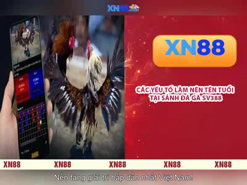 xn88 - Nền tảng trò chơi trực tuyến