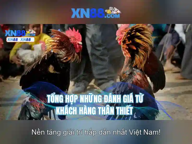 xn88-lin***.com – Trải nghiệm đỉnh cao với xn88 sa