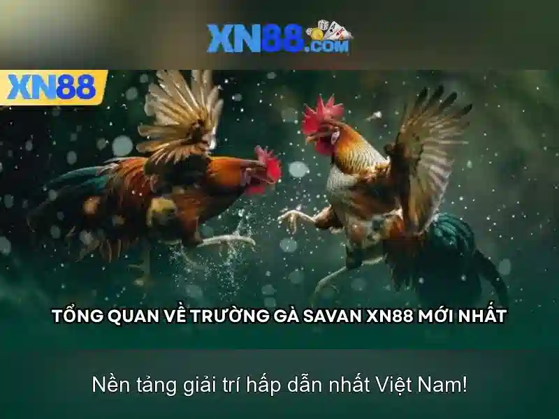 xn88: Nền tảng giải trí trực tuyến và đánh giá